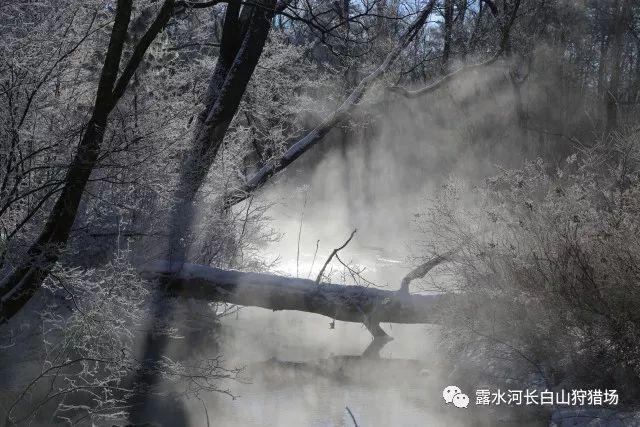 寻找遗失的光盘