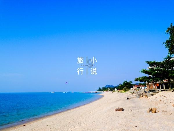 最新!各平台上线剧集一览