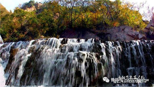 可爱的蜗牛拼图